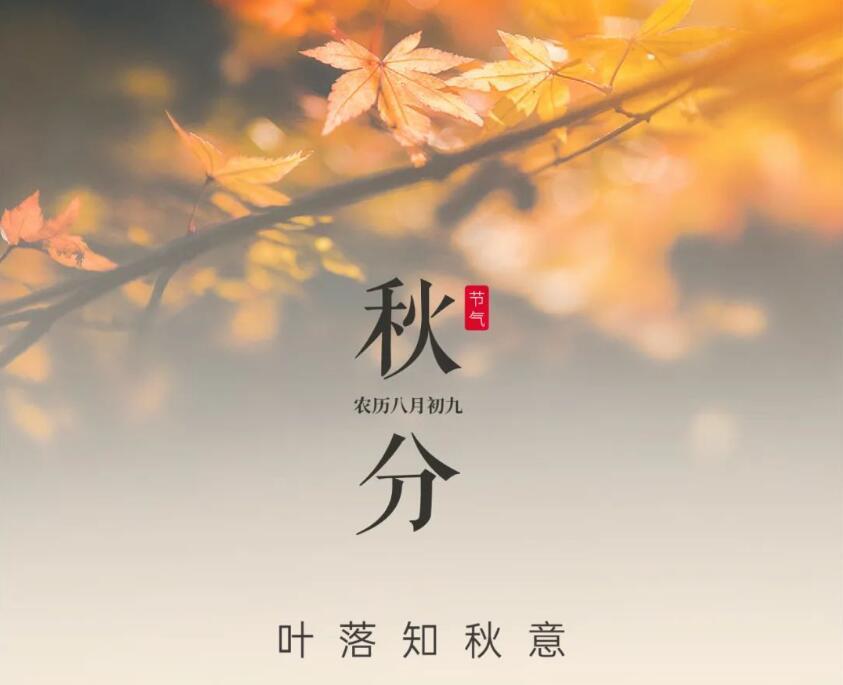 秋分(fēn)--落葉知(zhī)秋意